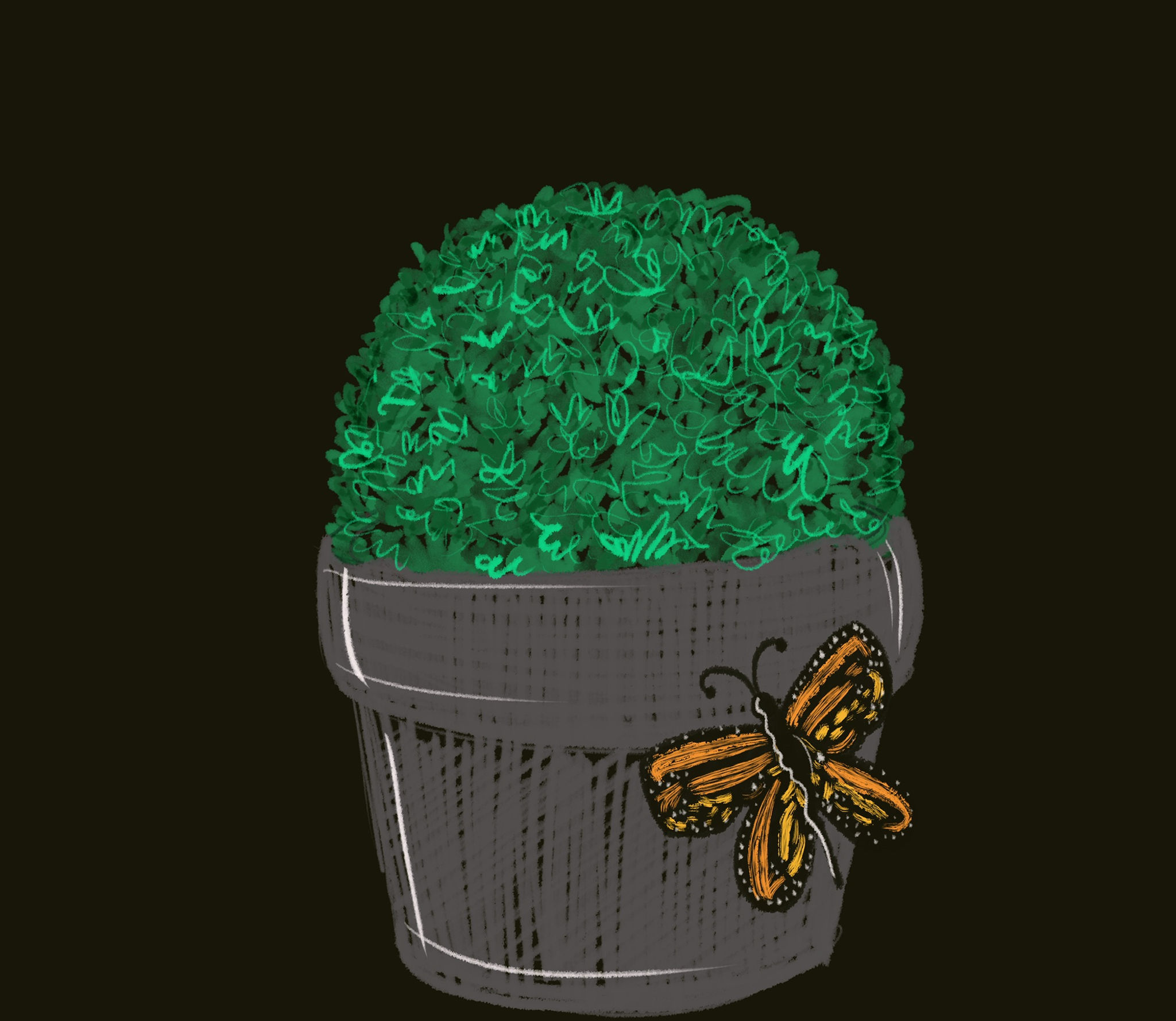 Butterfly Potted Plant