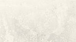 SHOP VENICYCOM BANNER (1).png