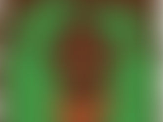 Ideology and Development: Lessons from Post-Independence Africa