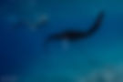 17e04a72-ea93-4b4d-9a77-d1460d8cf3fa.jpg