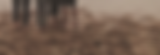63A44386-B7CA-40DF-8C9B-425E418FE857_Original_edited.png