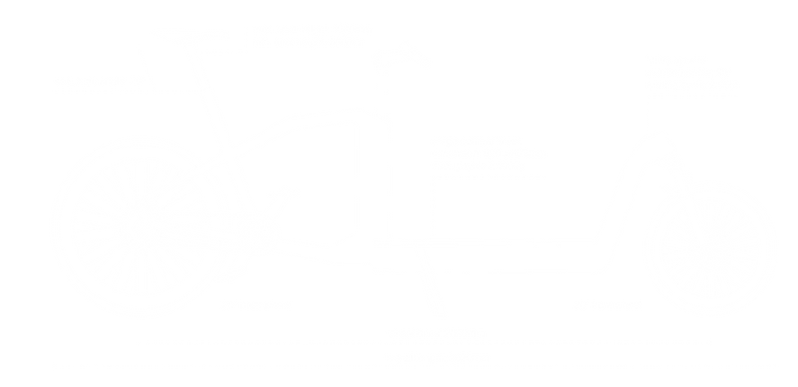 sane - tech data-min.png