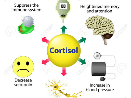 3 Things That Activate Cortisol