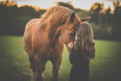 shutterstock_1712323240 horse.jpg