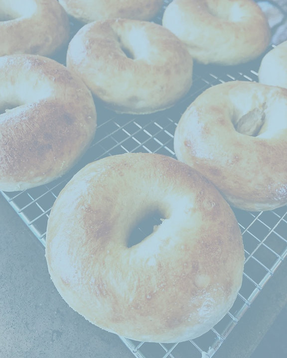 Plain%20Bagels_edited.jpg