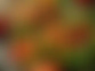 Etli Biber Dolması Tarifi: Lezzetli ve Geleneksel