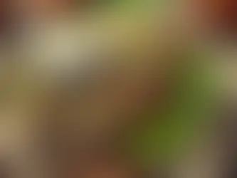 Kıymalı Kuru Patlıcan Dolması: Geleneksel ve Doyurucu Bir Lezzet