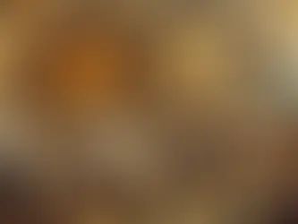 1571 Kıbrıs’ın Fethi: Osmanlı’nın Doğu Akdeniz’deki Zaferi