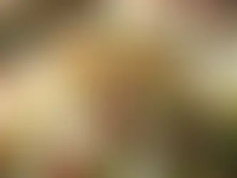 Kuş Üzümlü Pilav: Geleneksel ve Şık Bir Tarif
