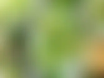 Salatalıklı Serinletici İçecek Tarifi – Ferahlatıcı ve Doğal!