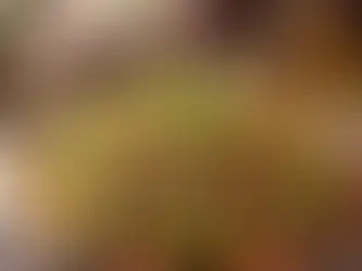 Etli Kabaklı Pilav Tarifi: Lezzetli ve Besleyici Bir Yemek
