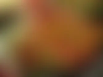 Tavuk Şiş Tarifi: Mangalın Yıldızı