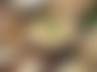 Peynirli Su Böreği: Geleneksel ve Lezzet Dolu Bir Börek