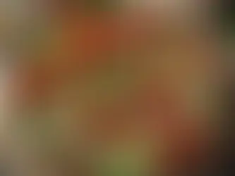 Közlenmiş Sebzeli Mezeler Tarifi: Lezzetli ve Hafif Bir Alternatif