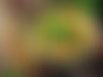 Tavuklu Kremalı Sebze Çorbası Tarifi – Besleyici ve Lezzetli!