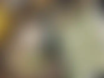 Yoğurtlu Kabak Cipsi: Sağlıklı ve Hafif Bir Lezzet