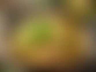 Tavuklu Lahana Çorbası: Şifa Dolu Lezzet