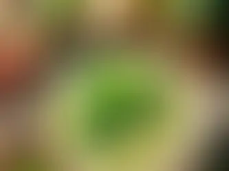 Sebzeli Kereviz Çorbası: Hafif ve Besleyici Bir Başlangıç