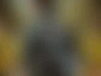 Profesyonel Fotoğrafçılar İçin Çanta ve Aksesuar Rehberi (2025 Tavsiyeleri)