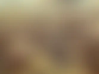 Lechfeld Muharebesi: Macar Akınlarına Karşı Alman Direnişinin Zaferi
