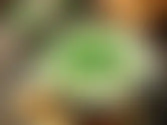 Kabak Çorbası: Hafif ve Besleyici Bir Tarif