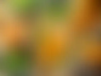Portakal ve Naneli Su Tarifi – Ferahlatıcı ve Doğal!