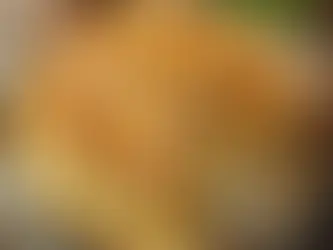 Tavuklu Beşamel Soslu Makarna Tarifi – Kremamsı ve Lezzetli!