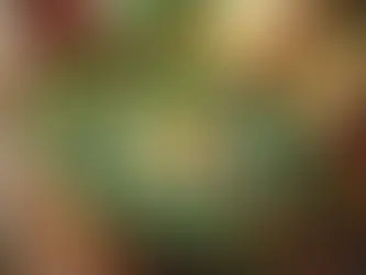 Yoğurtlu Ispanak Salatası Tarifi – Pratik ve Sağlıklı Lezzet!