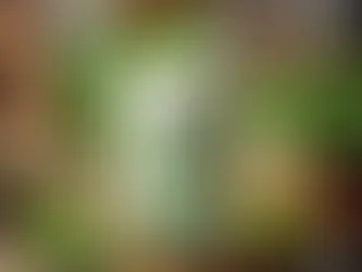 Naneli Soğuk Ayran: Ferahlatıcı ve Lezzetli Bir İçecek