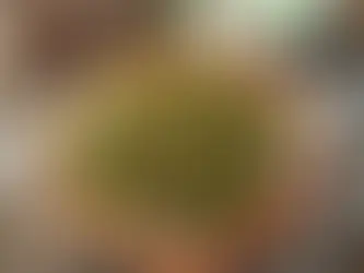 Etli Taze Fasulye: Lezzetli ve Besleyici Bir Türk Klasiği
