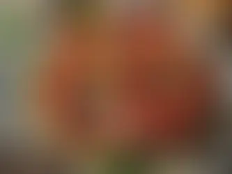 Zeytinyağlı Baharatlı Domates Tarifi – Hafif ve Lezzetli!
