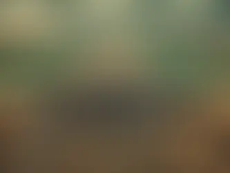 Bitmeyen Kavga Kitap Özeti ve İncelemesi