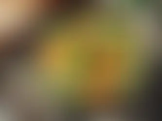 Sebzeli Tavuk Suyu Çorbası Tarifi – Besleyici ve Lezzetli!