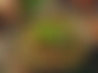 Kıymalı Yeşil Mercimek Çorbası Tarifi