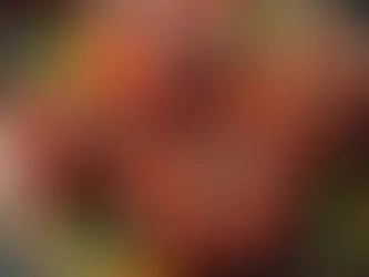 Fırında Baharatlı Domates Tarifi