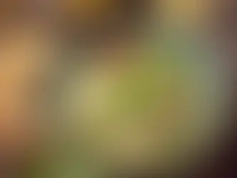 Sarımsaklı Şehriye Çorbası: Lezzetli ve Şifa Dolu Bir Tarif