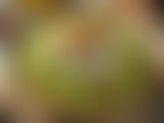 Cevizli Kabak Tarator Tarifi: Hafif ve Besleyici Bir Meze