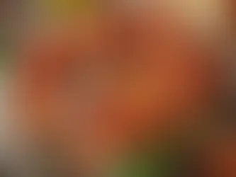 Zeytinyağlı Baharatlı Domates Tarifi – Hafif ve Lezzetli!
