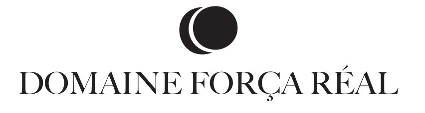 logo domaine bk.gif