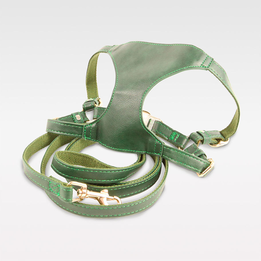 Grünes Hundegeschirr & Leine Set aus Kunstleder für kleine Hunde – VIPDOGSWISS