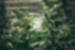 AdobeStock_334052997.jpeg