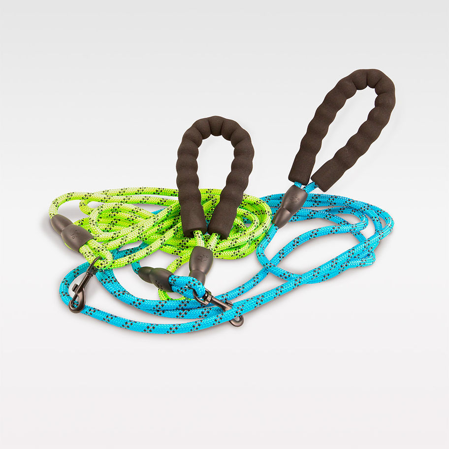 Wasserdichte, strapazierfähige Hundeleine mit gepolstertem Handgriff und sicherem Karabiner, ideal bei jedem Wetter.