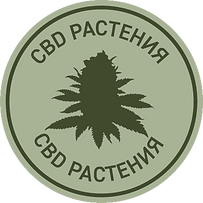 2021-03-02_RZ_Hanffabrik_Label_CBD_Bluet