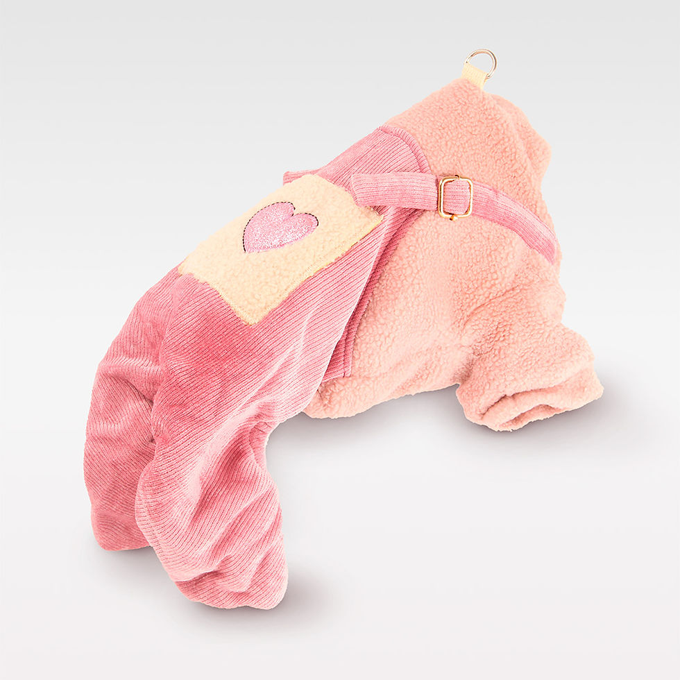 Rosaroter Hundeoverall mit Herzmotiv – warmer Winteroverall für kleine Hunde