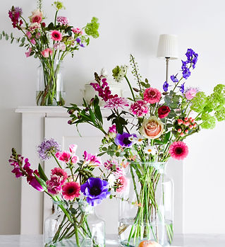 Bloem 3 sizes (tall).jpg
