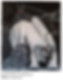 Le_Cavalier_noir_2023