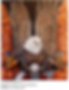 Le_Voleur_s_envole_2023