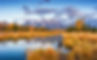iStock-1055707216.jpg