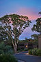 MHB 4 - PROPERTY - DETAILS - 02 - LANDSCAPES - 0987.jpeg