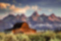 iStock-186546668.jpg